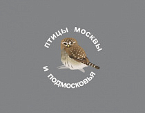 Зимнее население птиц Москвы и как определить численность зяблика: семинар в Зоомузее МГУ 20 мая 2026