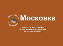 Опубликован 43-й выпуск журнала «Московка» (апрель 2026 г.)